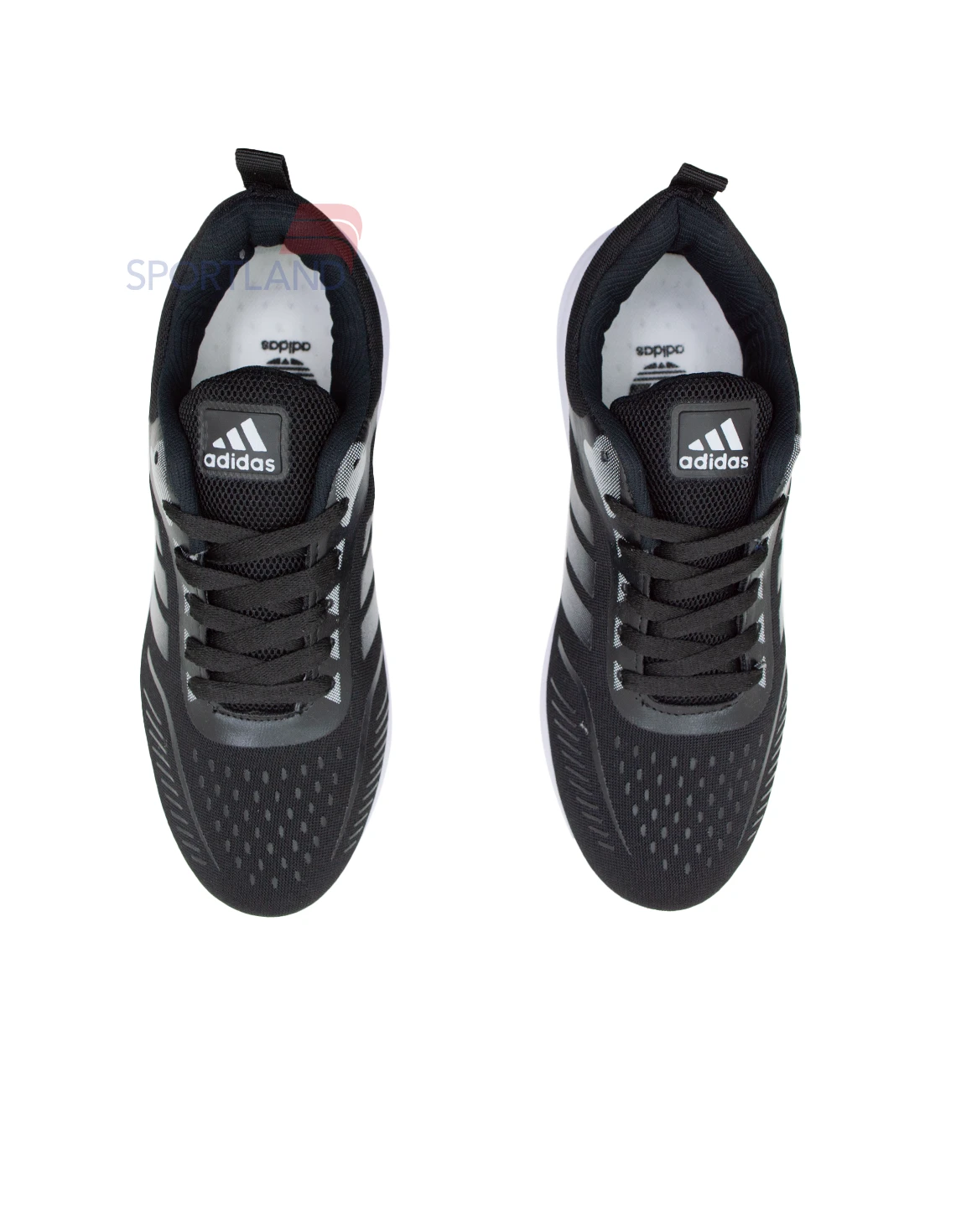 کفش پیاده روی زنانه آدیداس Damien W